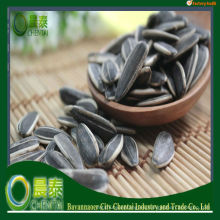 Semillas de girasol de China 24/64 nueces / Semillas de girasol de Chiness / La fábrica de exportación más grande Common Black / China